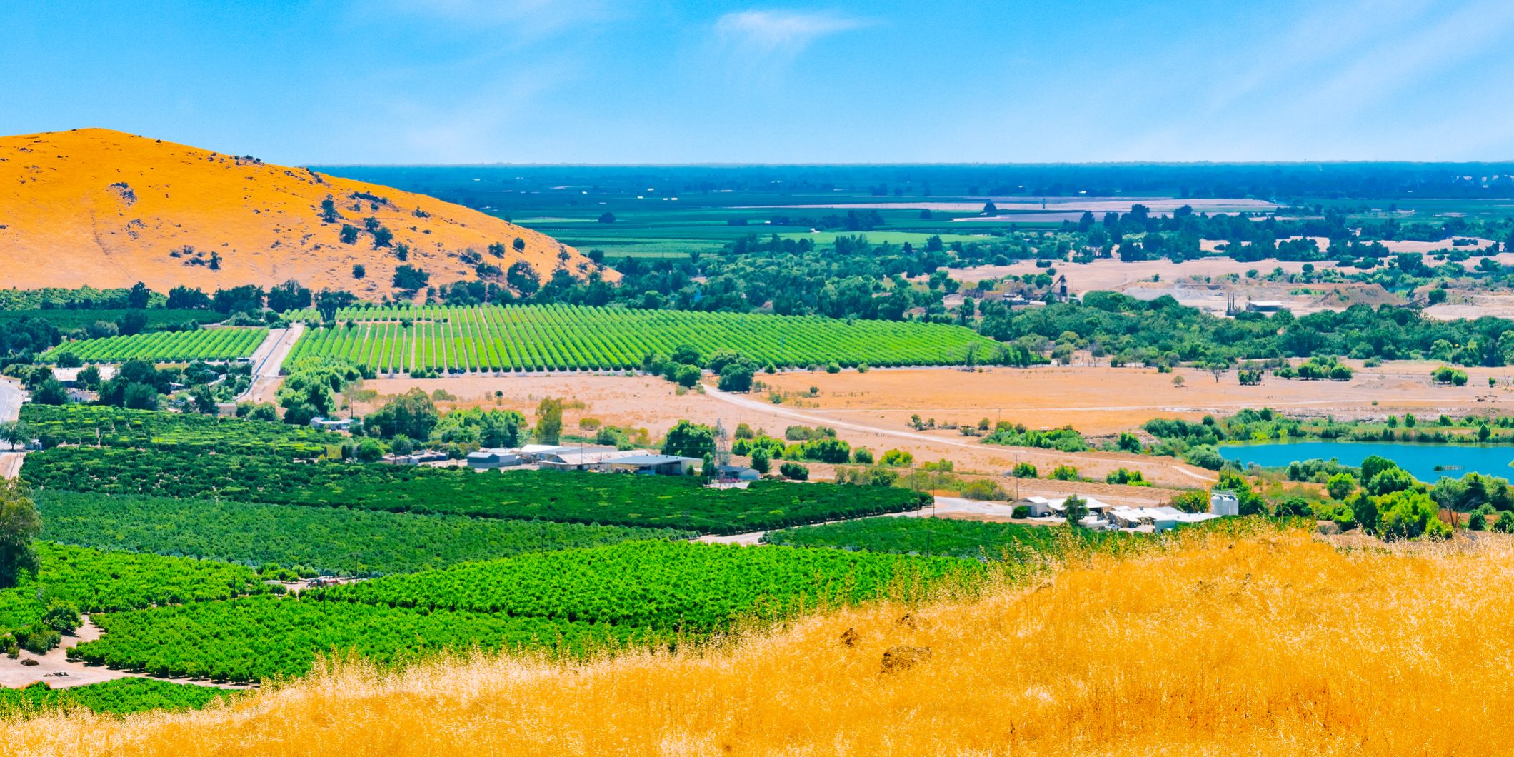 Clearing fog in the San Joaquin Valley, the agricultural center of California.