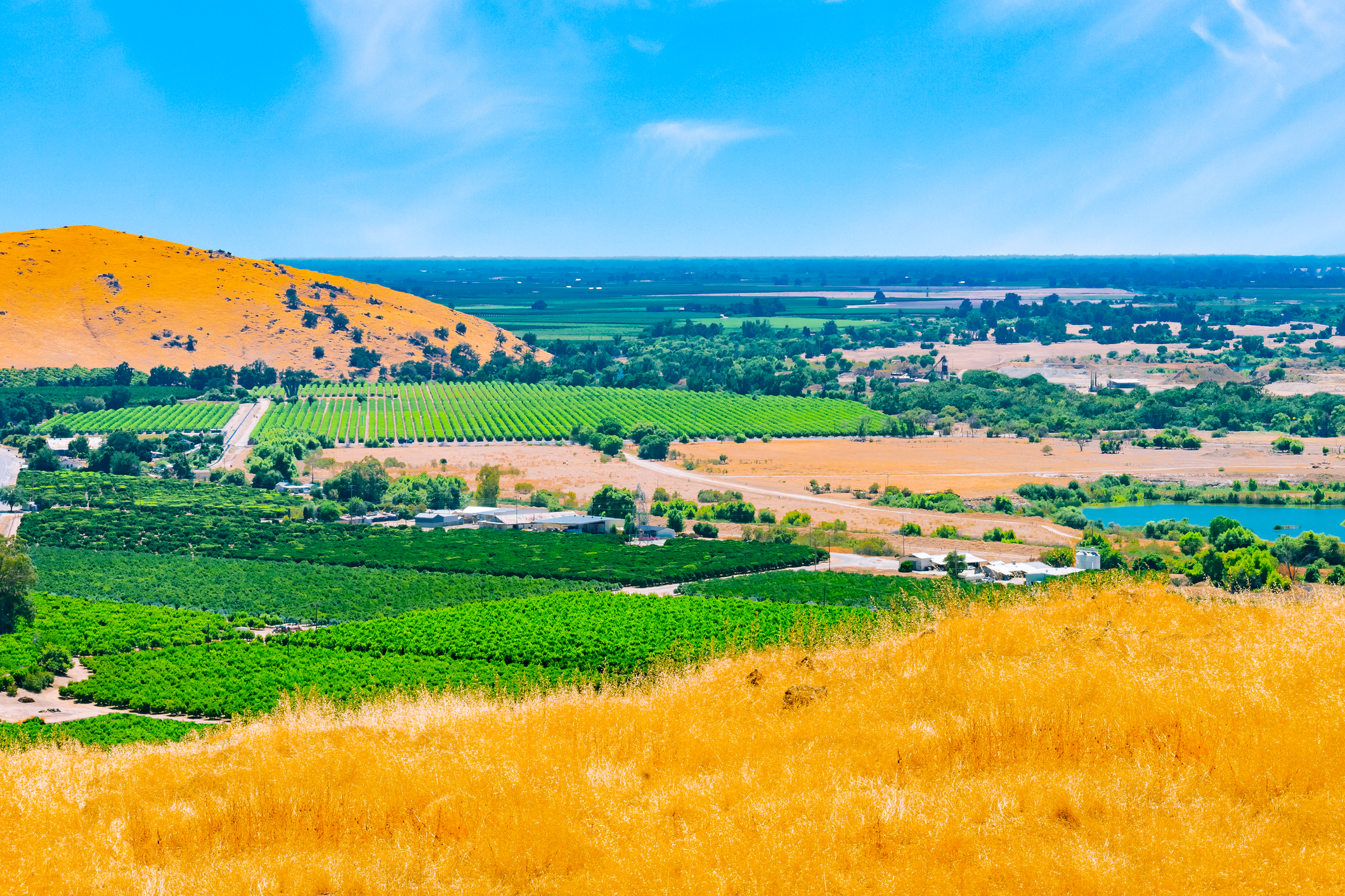 Clearing fog in the San Joaquin Valley, the agricultural center of California.